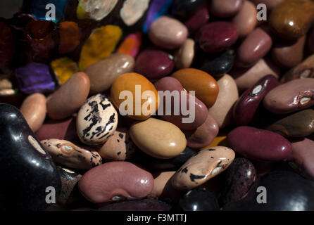 Haricots multicolores dans Tepetlixpa "banque de semences", créé par Tomas Villanueva Buendia 'Tomaicito' pour protéger et sauver les variétés de maïs mexicain original Banque D'Images