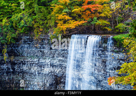 En pleine chute Tews couleurs d'automne. Banque D'Images