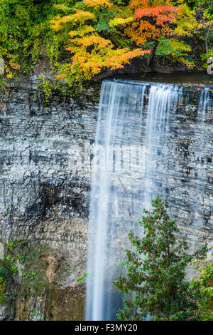 En pleine chute Tews couleurs d'automne. Banque D'Images