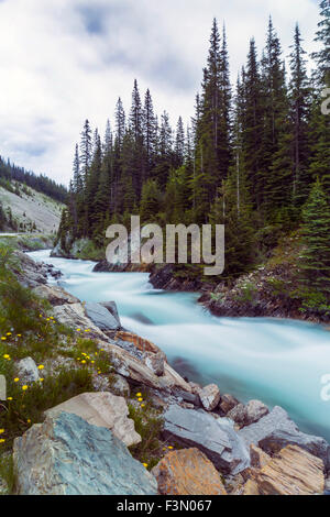 L'un des nombreux cours d'eau qui coule le long de la route en Colombie-Britannique, près de Banff. Banque D'Images