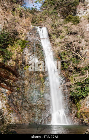 Cascade de Mino beauty spot près d'Osaka. Chute d'une falaise rocheuse s'écrouler en grand bassin à sa base. Les arbres qui poussent jusqu'aux falaises dans les lieux. Banque D'Images