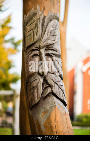 Les visage de l'homme sculpté dans un post en bois dans un parc de jeux pour enfants. Wolverton Mill, Milton Keynes, UK. Banque D'Images