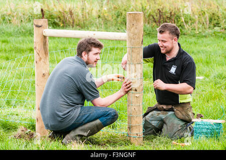 Lisburn, Irlande du Nord. 10 Oct 2015 - Deux jeunes agriculteurs mettent en place le câblage métallique pour une clôture sur le terrain au cours de l'Irlande du Nord Association Labour championships Banque D'Images