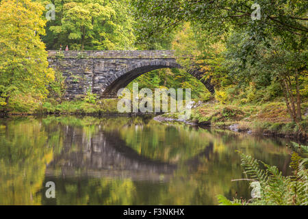 L'automne sur l'Afon Lledr près de Betws-Y-coed, au nord du Pays de Galles, Royaume-Uni Banque D'Images