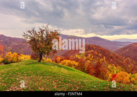 Paysage d'automne dans les Carpates. La Transylvanie, Roumanie. L'Europe. Banque D'Images