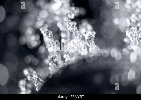 Macro image de l'eau splash sur fond noir, l'eau gouttes voler dans l'air Banque D'Images