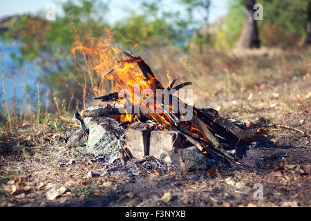 Feu dans la forêt d'automne. Les charbons de feu. Contexte Banque D'Images