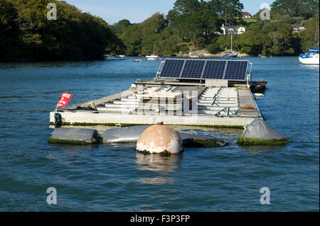 Robin hancock des frères Wright les huîtres, qui gère le duché de Cornouailles les huîtres sur l'estuaire de helford. Banque D'Images