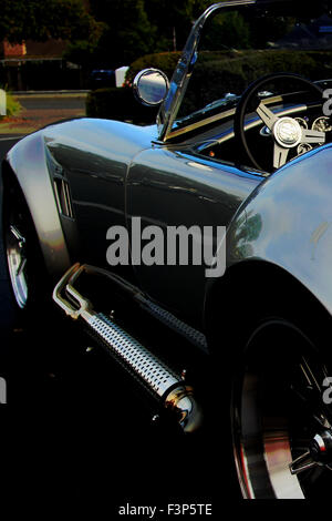 Shelby Cobra classique brian mcguire Banque D'Images