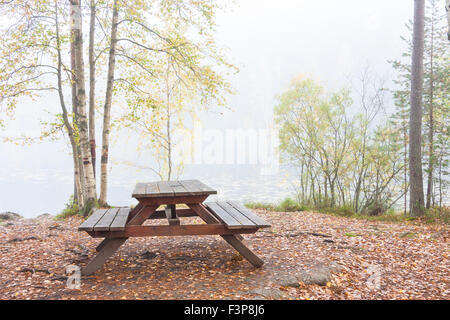 Banc et table de camping en forêt d'automne brumeux, sol plein de feuilles d'arbres Banque D'Images