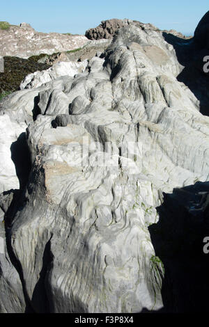 N.DEVON ILFRACOMBE ; ; ; Ladies Beach ; ROCHE ILFRACOMBE (Grit, schiste, calcaire) Banque D'Images