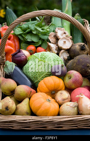 Panier de récolte contenant une sélection de fruits et légumes cultivés au Royaume-Uni. Banque D'Images