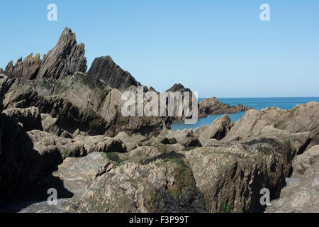 N.DEVON ILFRACOMBE ; ; ; Ladies Beach ; ROCHE ILFRACOMBE (Grit, schiste, calcaire) Banque D'Images