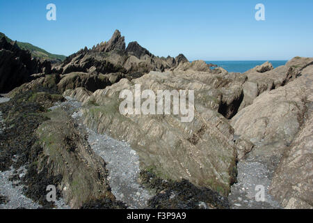 N.DEVON ILFRACOMBE ; ; ; Ladies Beach ; ROCHE ILFRACOMBE (Grit, schiste, calcaire) Banque D'Images