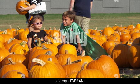 Houston, USA. 10 Oct, 2015. Les enfants sont attirés par les citrouilles à la 9e édition de citrouilles à Fort Bend Comté, près de Houston, Texas, États-Unis, 10 octobre 2015. Credit : Zhang Yongxing/Xinhua/Alamy Live News Banque D'Images