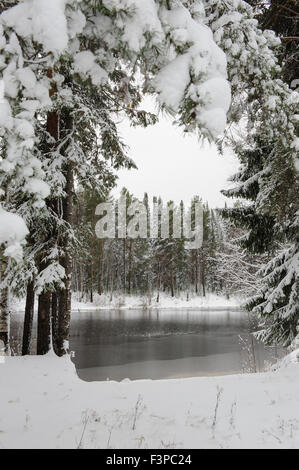 Lake Forest en début de l'hiver Banque D'Images