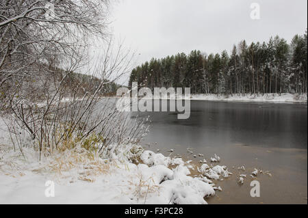 Lake Forest en début de l'hiver Banque D'Images