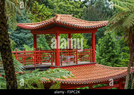 Coin asiatique à Madère jardin tropical Banque D'Images