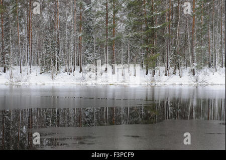 Lake Forest en début de l'hiver Banque D'Images