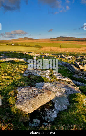 Rough Tor et Brown Willy ; de Alex Tor Bodmin Moor, Cornwall, UK Banque D'Images