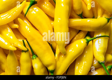 Jaune fraîchement récolté Aji Limon Chili Peppers Banque D'Images