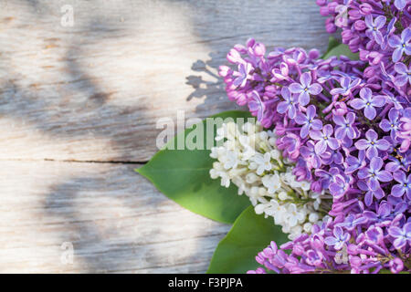 Fleurs lilas colorés sur table de jardin. Top View with copy space Banque D'Images