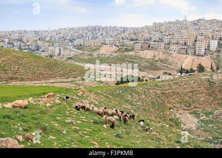 Amman, Jordanie - Mars 21,2015 : Shepherd profitant de la belle vue d'Amman, la capitale de la Jordanie, de l'une des collines nearb Banque D'Images