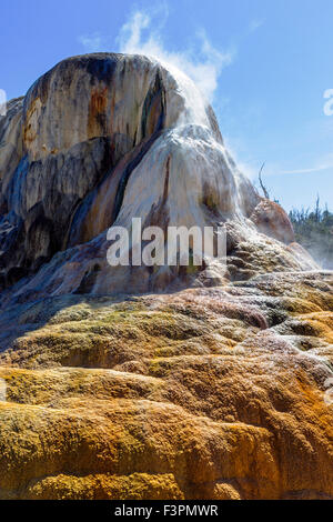 Printemps Orange Mound, Mammoth Hot Springs, Parc National de Yellowstone, Wyoming, USA Banque D'Images