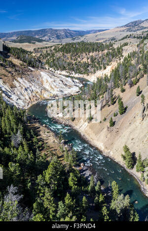Ressorts de calcite ; Yellowstone River ; Grand Canyon de la Yellowstone, le Parc National de Yellowstone, Wyoming, USA Banque D'Images