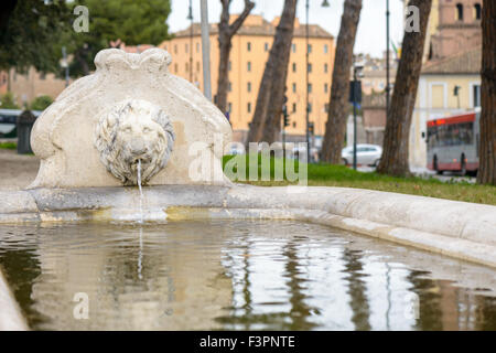 La fontaine du lion, près de l'église Santa Maria in Cosmedin, à Rome (Italie) Banque D'Images