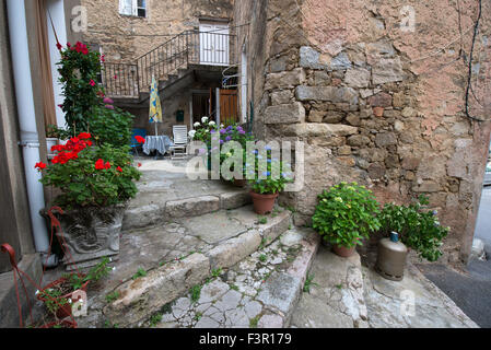 Vases fleuris sur les marches d'une rue escarpée de Vico, Corse, France Banque D'Images