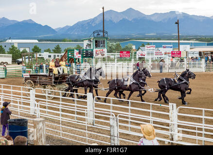 Famille Yoder, Amish, défilé dans leur chariot, tiré par six chevaux percherons, Chaffee County Fair & Rodeo, Salida, Colorado, USA Banque D'Images