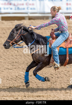 Cowgirl rodéo à cheval en compétition dans les courses de barils de cause, Chaffee County Fair & Rodeo, Salida, Colorado, USA Banque D'Images