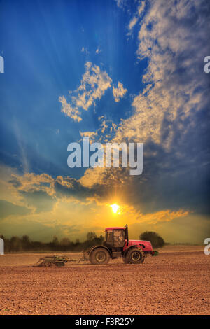 Tracteur rouge labourer le champ sur le coucher du soleil Banque D'Images
