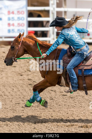 Cowgirl rodéo à cheval en compétition dans les courses de barils de cause, Chaffee County Fair & Rodeo, Salida, Colorado, USA Banque D'Images