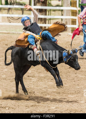 Les jeunes d'une petite chute de cow-boy s'orientent dans la direction de la concurrence d'équitation Junior, Chaffee County Fair & Rodeo, Salida, Colorado Banque D'Images