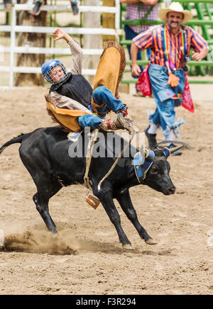 Les jeunes d'une petite chute de cow-boy s'orientent dans la direction de la concurrence d'équitation Junior, Chaffee County Fair & Rodeo, Salida, Colorado Banque D'Images