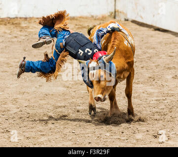 Les jeunes d'une petite chute de cow-boy s'orientent dans la direction de la concurrence d'équitation Junior, Chaffee County Fair & Rodeo, Salida, Colorado Banque D'Images