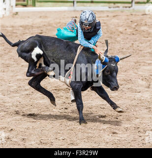 Les jeunes d'une petite chute de cow-boy s'orientent dans la direction de la concurrence d'équitation Junior, Chaffee County Fair & Rodeo, Salida, Colorado Banque D'Images