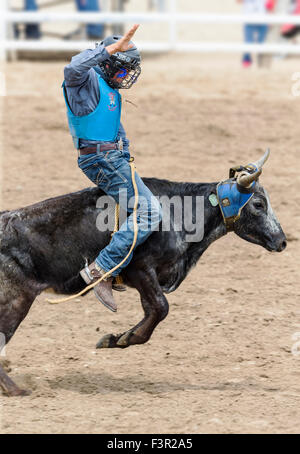 Les jeunes d'une petite chute de cow-boy s'orientent dans la direction de la concurrence d'équitation Junior, Chaffee County Fair & Rodeo, Salida, Colorado Banque D'Images