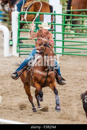 Cowgirl rodéo à cheval en compétition dans Calf roping, retenue ou événement au lasso, Chaffee County Fair & Rodeo, Salida, Colorado USA Banque D'Images