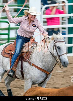 Rodeo Cowboy et cowgirl sur l'équipe de concurrents, de veaux au lasso ou à la corde de retenue, événement Chaffee County Fair & Rodeo, Salida Banque D'Images