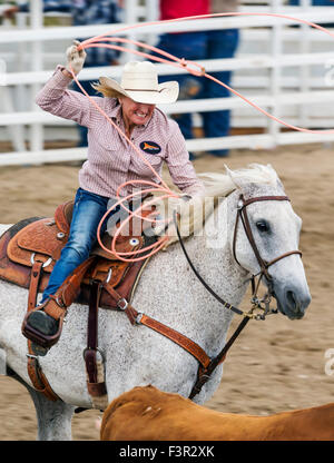 Rodeo Cowboy et cowgirl sur l'équipe de concurrents, de veaux au lasso ou à la corde de retenue, événement Chaffee County Fair & Rodeo, Salida Banque D'Images