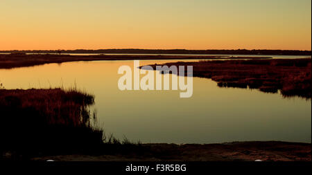 Fin de journée sur Assateague Island Banque D'Images