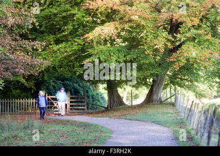 Padley Gorge, Grindleford, Derbyshire, UK:12 octobre 2015 froid glacial.pour commencer la journée dans la région de la vallée de l'espoir autour du Peak District.grand matin pour chien Marcheurs et randonneurs . Credit : IFIMAGE/Alamy Live News Banque D'Images