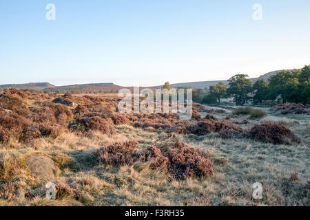 Padley Gorge, Grindleford, Derbyshire, UK:12 octobre 2015 froid glacial.pour commencer la journée dans la région de la vallée de l'espoir autour du Peak District.grand matin pour chien Marcheurs et randonneurs . Credit : IFIMAGE/Alamy Live News Banque D'Images
