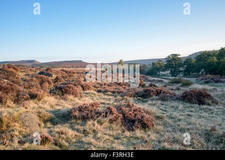 Padley Gorge, Grindleford, Derbyshire, UK:12 Octobre 2015.démarrage à froid glacial aujourd'hui à travers la région de la vallée de l'espoir du Peak District.grand matin pour chien Marcheurs et randonneurs . Credit : IFIMAGE/Alamy Live News Banque D'Images