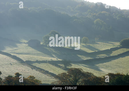 Padley Gorge, Grindleford, Derbyshire, UK:12 octobre 2015 froid glacial.pour commencer la journée dans la région de la vallée de l'espoir autour du Peak District.grand matin pour chien Marcheurs et randonneurs . Credit : IFIMAGE/Alamy Live News Banque D'Images