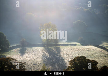 Padley Gorge, Grindleford, Derbyshire, UK:12 octobre 2015 froid glacial.pour commencer la journée dans la région de la vallée de l'espoir autour du Peak District.grand matin pour chien Marcheurs et randonneurs . Credit : IFIMAGE/Alamy Live News Banque D'Images