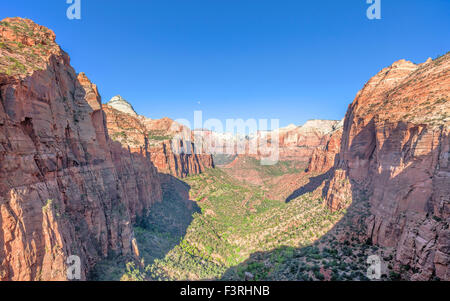 Dans le canyon Zion National Park, Utah, USA. Banque D'Images